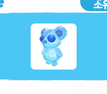 입양하세요 프로바이트 새끼곰--0