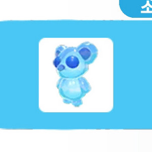 입양하세요 프로바이트 새끼곰