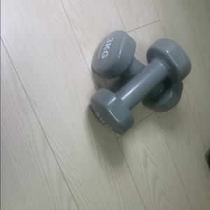 가정용 덤벨