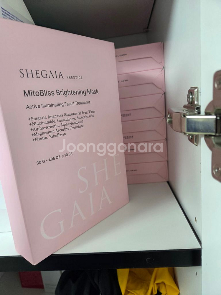 쉬가이아 좀비팩--0