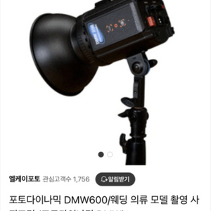 포토다이나믹 dmw 600조명