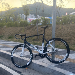벡터 포르자 마크2 개급처