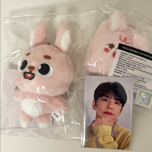 데이식스 콘서트 MD 데니멀즈 쁘띠멀즈 포카 (원필)