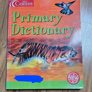 초등영영사전/콜린스 primary dictionary