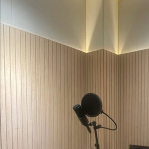 오디오 테크니카 at2020 팔아여 (급처) 두달사용