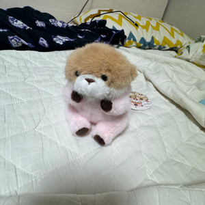 우소우소짱 인형 키링