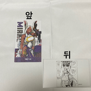 나의히어로아카데미아 히로아카 미르코 명함 카드