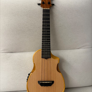ibanez auc10e 아이바네즈 우쿨렐레