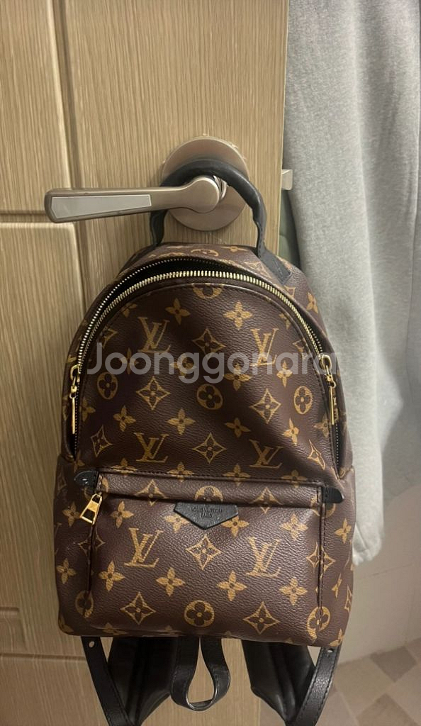 루이비통 팜스프링스 백팩--1