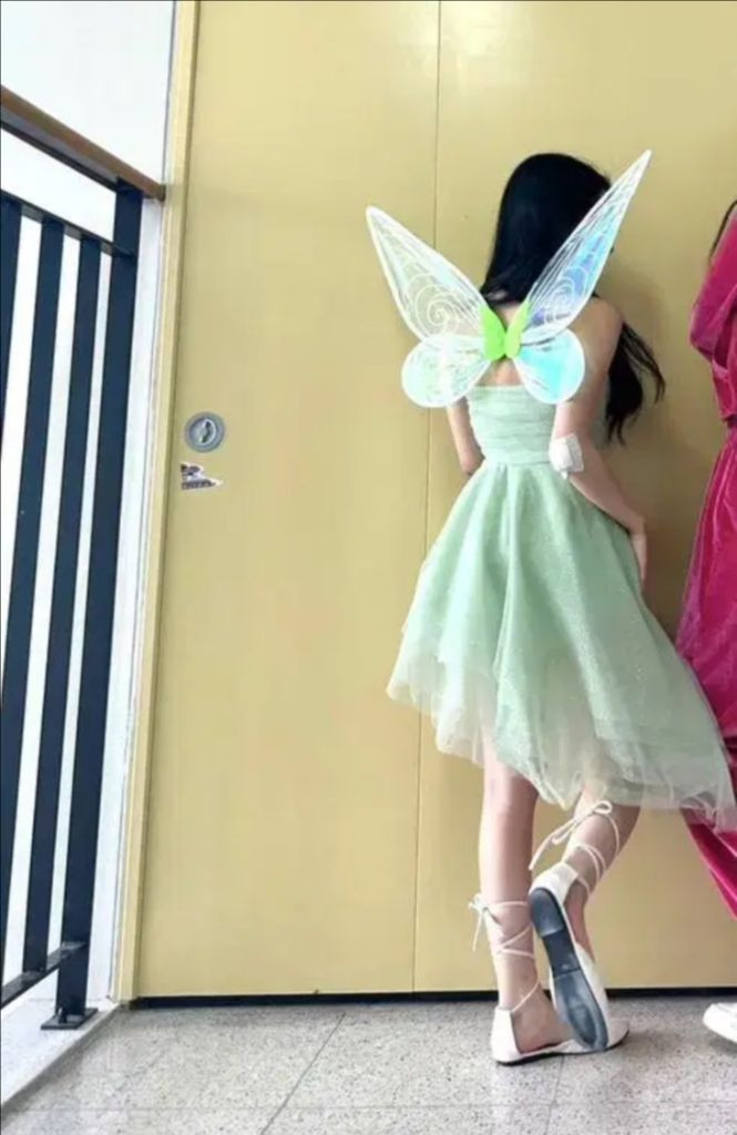 팅커벨 졸업사진 대여 이미지