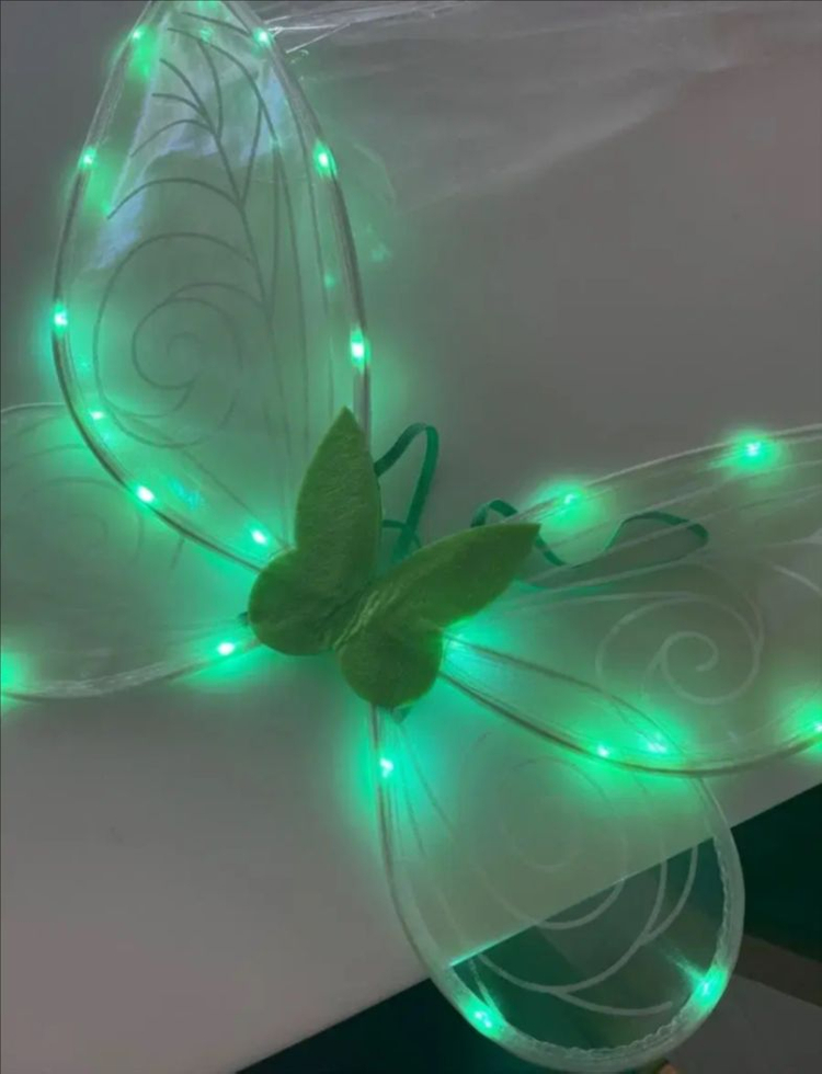 팅커벨 졸업사진 대여 이미지