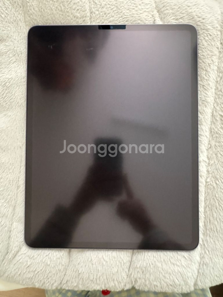 아이패드 프로 12.9 5세대 W-Fi 128GB--1