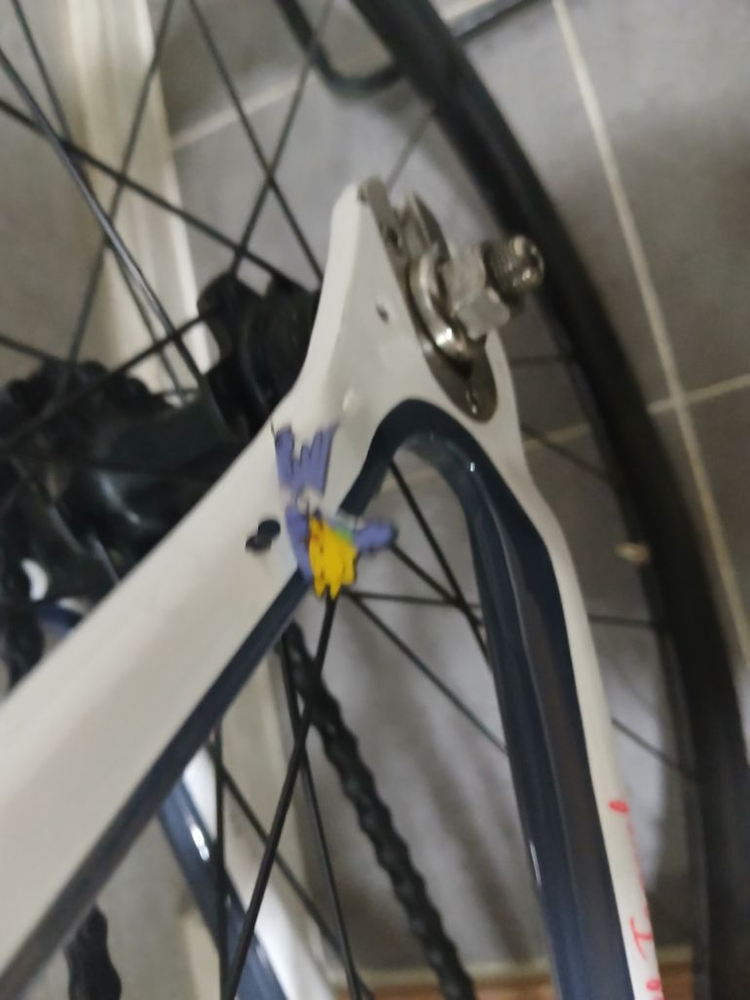 콘스탄틴 디스페랄 2024 화이트 그레이 급처 이미지