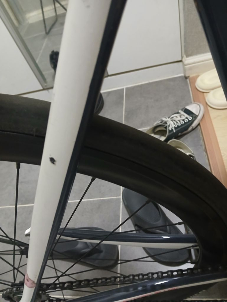 콘스탄틴 디스페랄 2024 화이트 그레이 급처 이미지