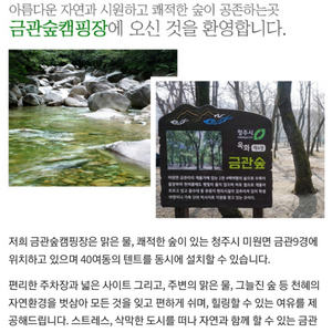 청주 금관숲 캠핑장 5월5일-6일에이스자리