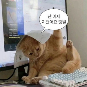 알리,테무 대행