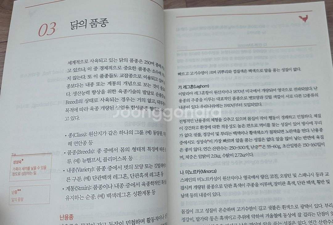 농업기술길잡이 양계 책(택포)--3