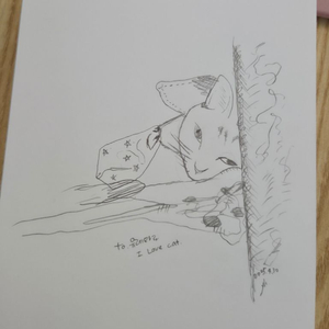 엑스 피펜 액정타블렛 xp xpen 16 (2세대)