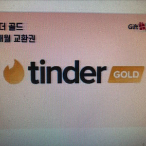 틴더 골드 1개월권