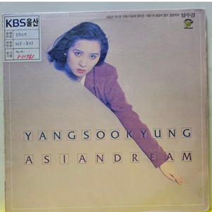 방송국용 LP 일괄판매 (심수봉/유익종/양수경)