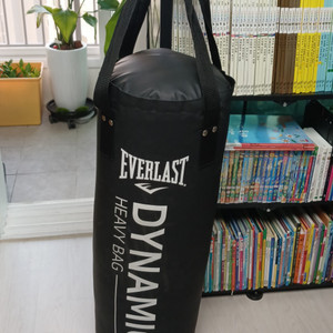 운동 샌드백