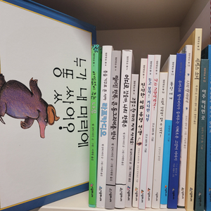 시공주니어 생각하는 숲