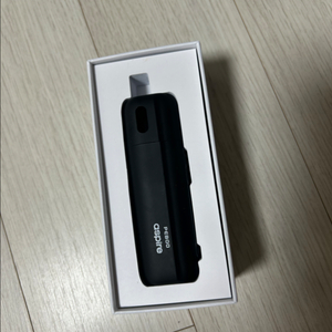 페보 전담