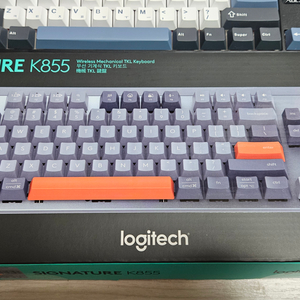 로지텍 시그니처 K855 TKL