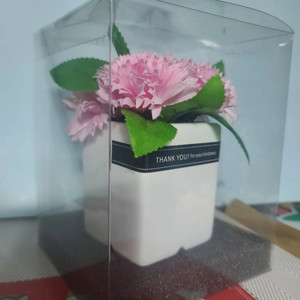 [단 하루!]비누꽃 카네이션 화분