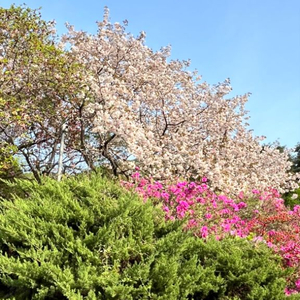 지갑을 찾습니다.(공주 정산지역)