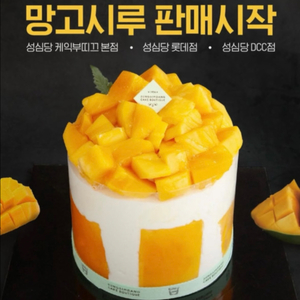 성심당 망고시루 직거래
