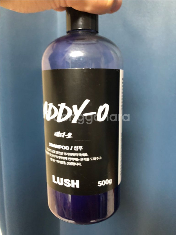 러쉬 대디오 약 250g--0