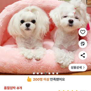 일괄 강아지 고양이 방석