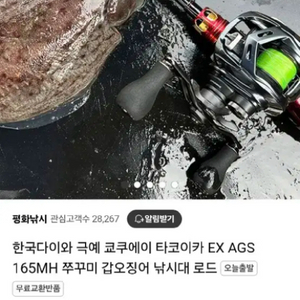 다이와쭈.갑로드