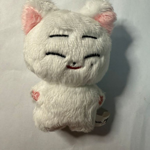엔하이픈 선우 인형 한국폭