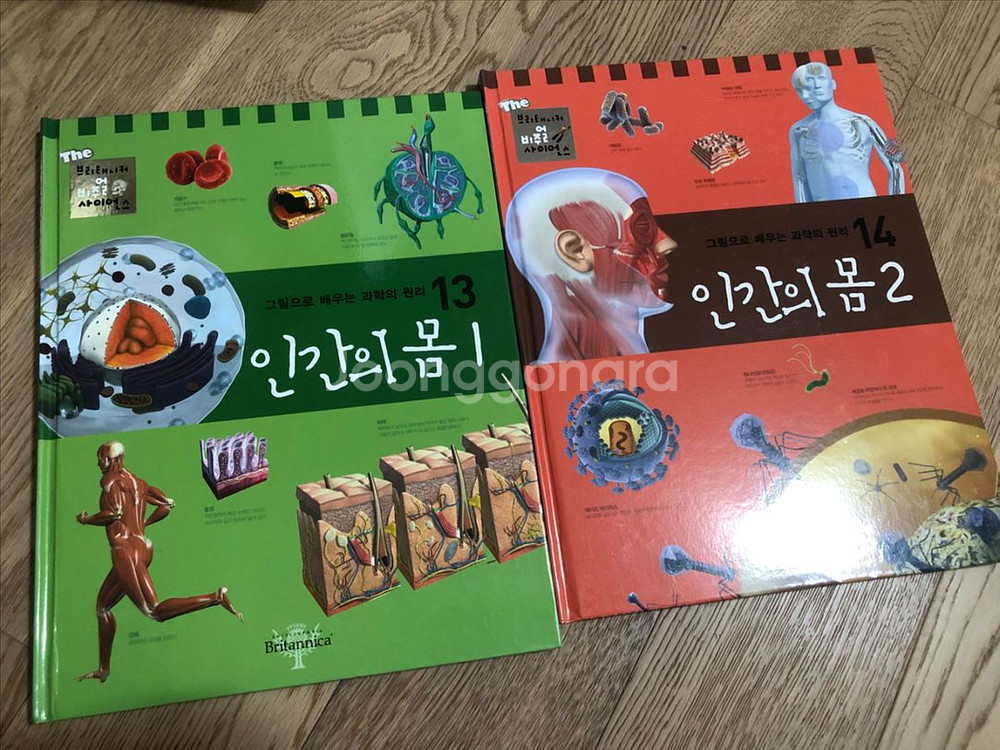 브리태니커 비주얼 과학 지식백과 총 19권--7