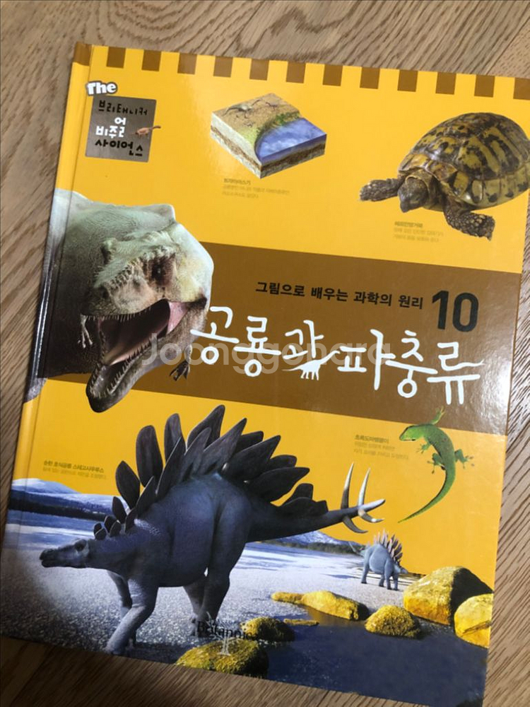 브리태니커 비주얼 과학 지식백과 총 19권--5