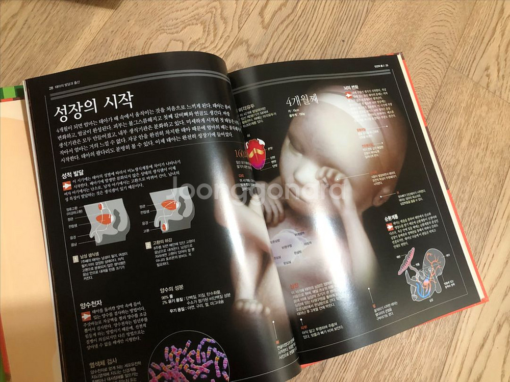 브리태니커 비주얼 과학 지식백과 총 19권--8