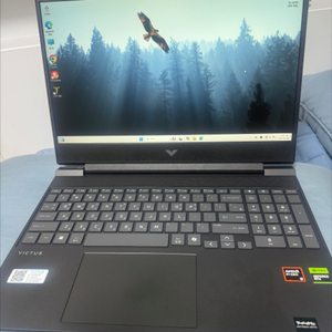빅터스 15 R9
