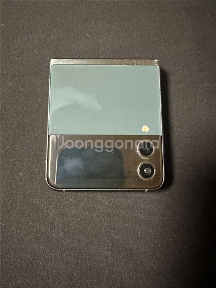 Z플립3 그린 256GB--0