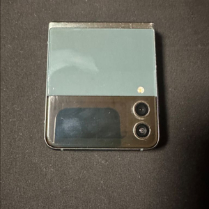 Z플립3 그린 256GB