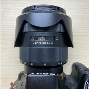 알파마운트 칠번들