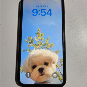 아이폰xr->아이폰11