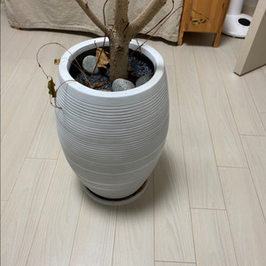 줄무늬 화이트 화분