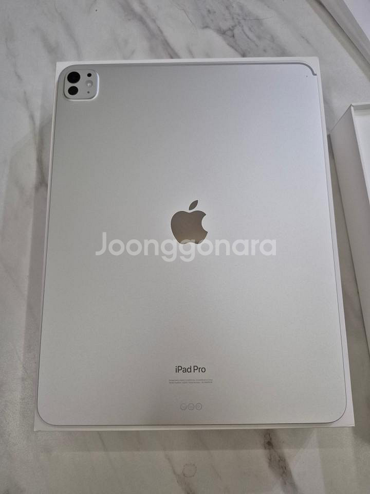 아이패드 프로 13 M4 실버 256GB--2