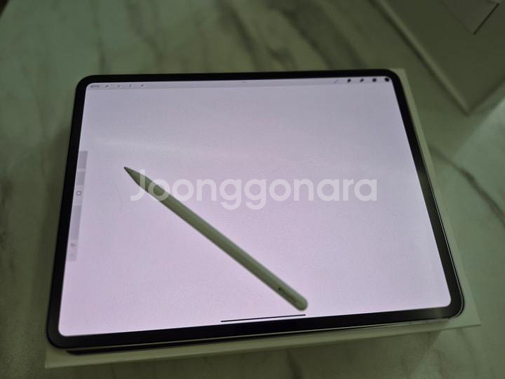 아이패드 프로 13 M4 실버 256GB--4