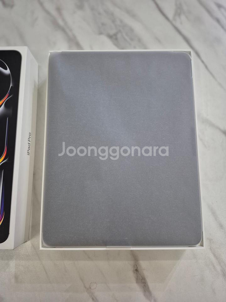 아이패드 프로 13 M4 실버 256GB--1
