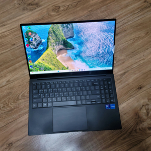 삼성갤럭시북2프로 NT950XEV,16G,1T