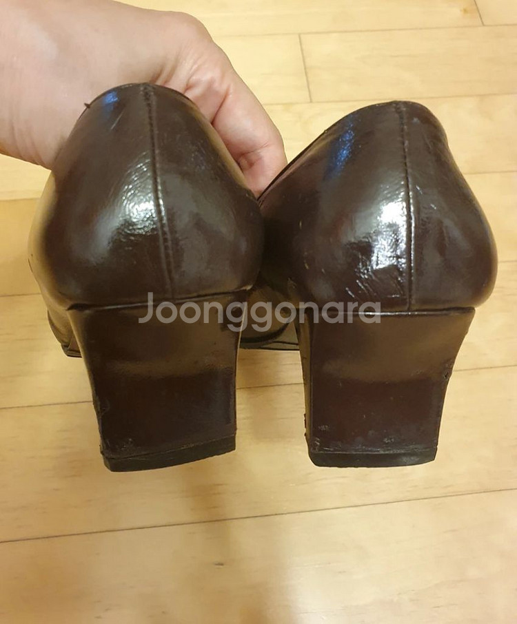 페라가모--1