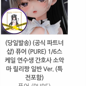 릴리짱 1/6 견습간호사 서큐버스 소악마 미소녀 피규어